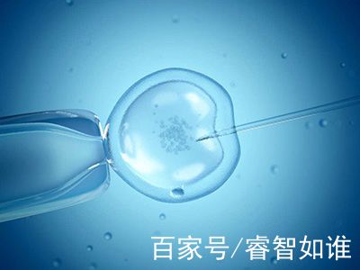 爱心拉拉代怀咨询怎么选